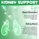 Oimmal Kidney Support for Dogs - 2Pack
