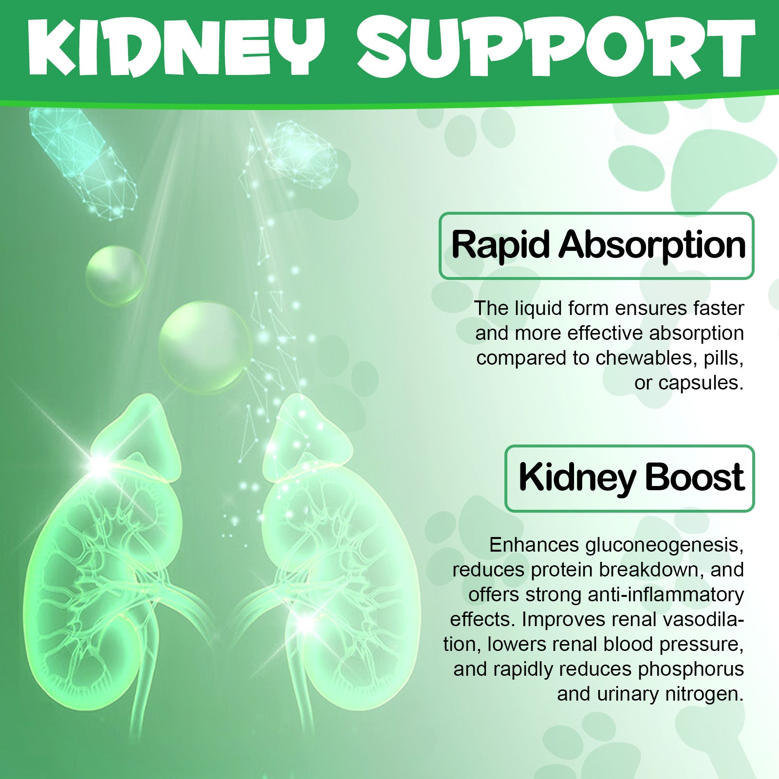 Oimmal Kidney Support for Dogs - 2Pack