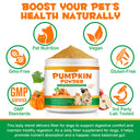 Oimmal Pet Pumpkin Powder 200g - 1Pack