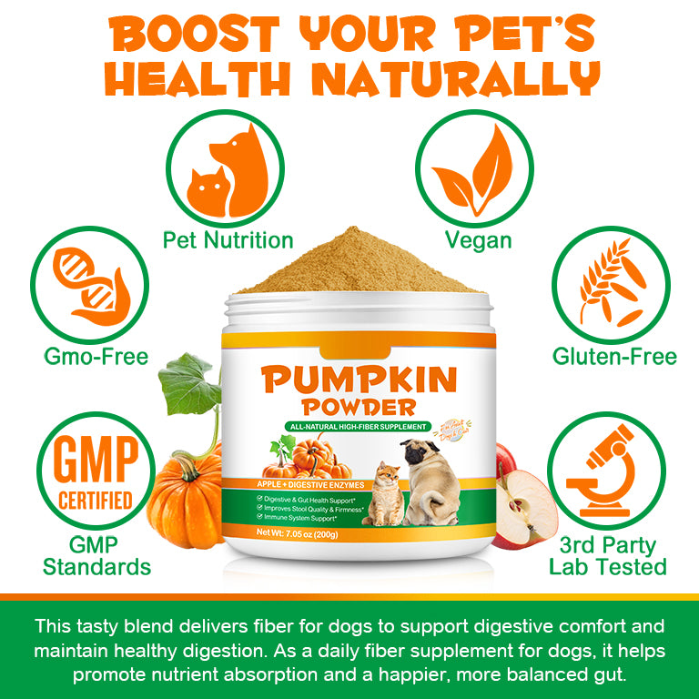 Oimmal Pet Pumpkin Powder 200g - 1Pack
