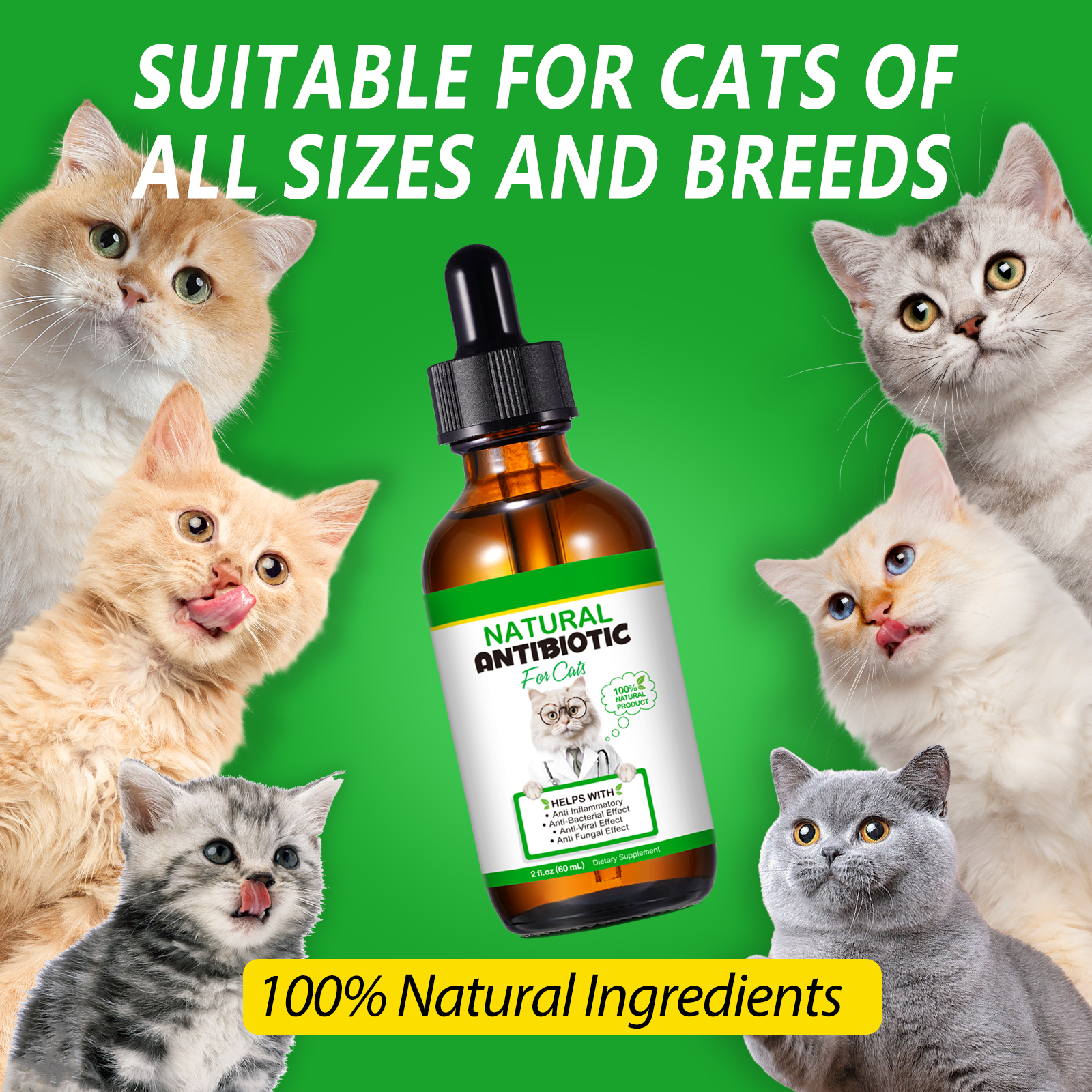 Oimmal Natural Antibiotic Drops for Cats