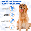 Oimmal Joint Aid & Relief Drops for Dogs