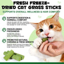 Oimmal Cat Grass Stick 60g - 1Pack