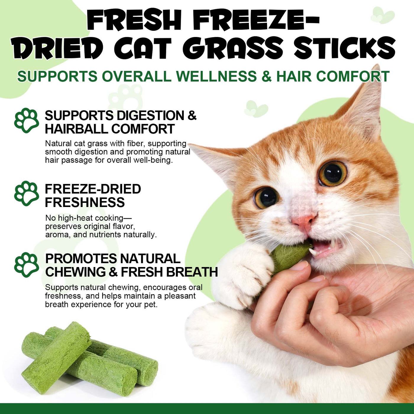 Oimmal Cat Grass Stick 60g - 1Pack