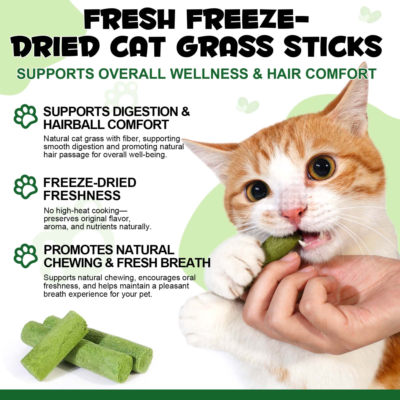 Oimmal Cat Grass Stick 60g - 1Pack