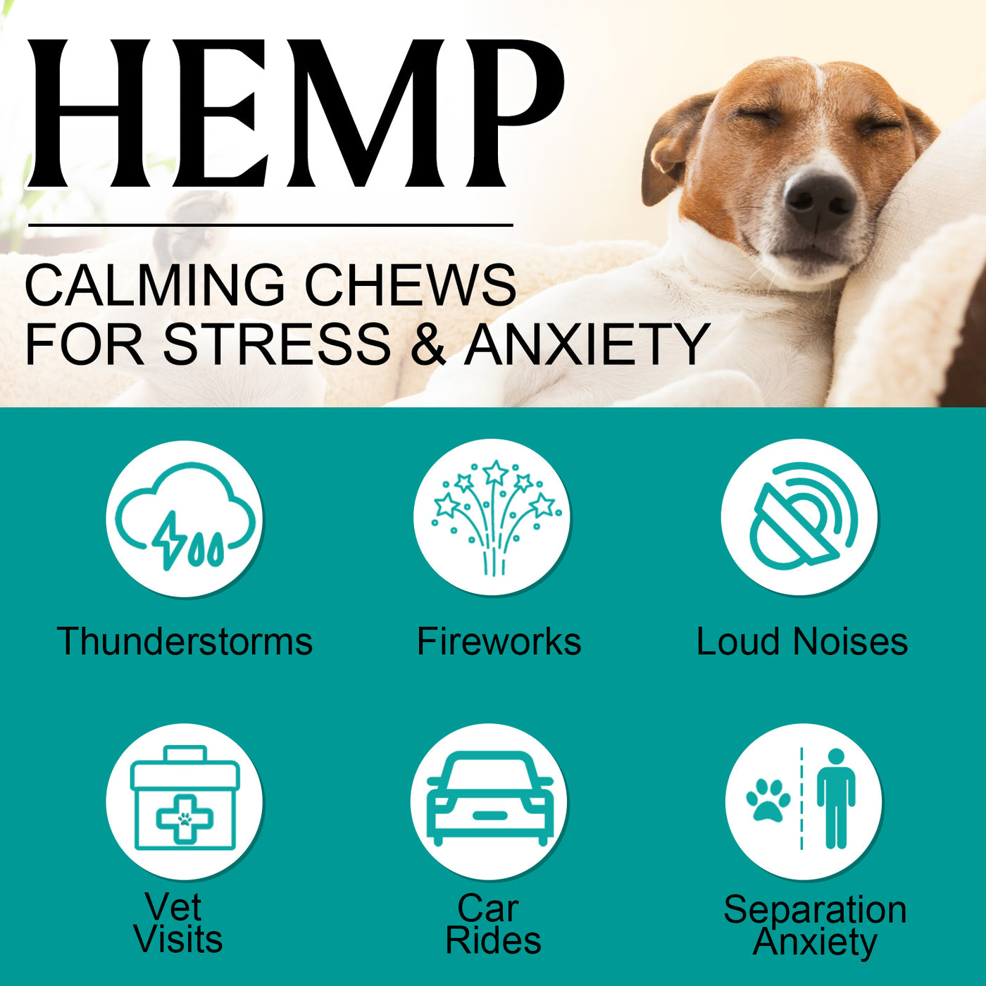 Oimmal Hemp Calming Chews - 60 Chews / Chicken Flavor