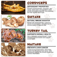 Oimmal Wild Mushroom Superblend 120g - 2Pack