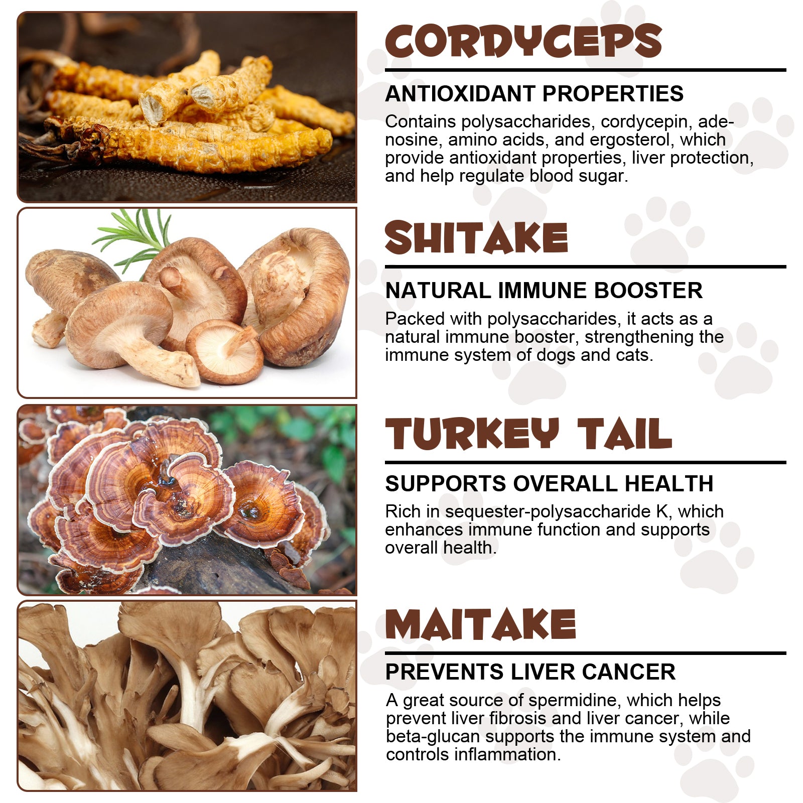 Oimmal Wild Mushroom Superblend 120g - 2Pack