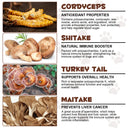 Oimmal Wild Mushroom Superblend 120g - 1Pack