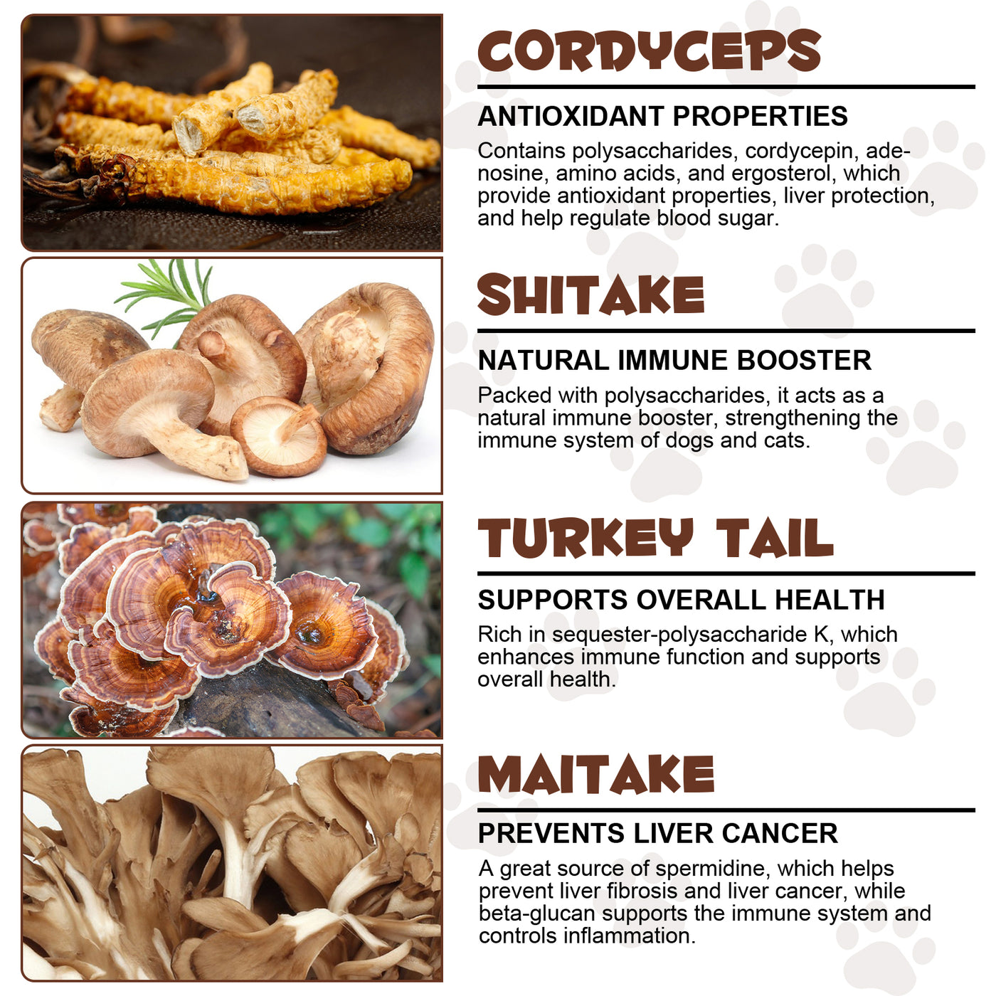 Oimmal Wild Mushroom Superblend 120g - 1Pack