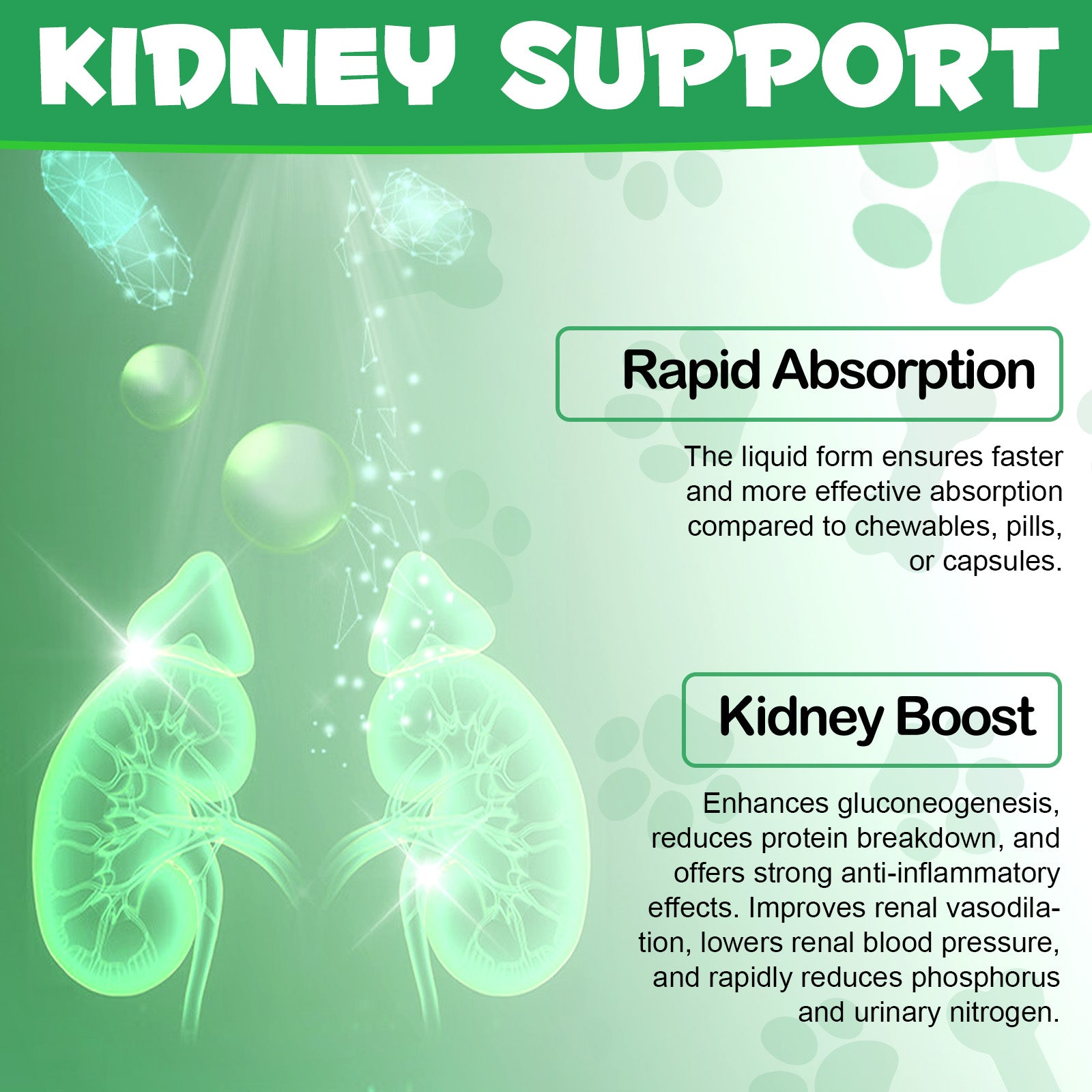 Oimmal Kidney Support for Cats - 2Pack