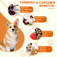 Oimmal Turmeric Curcumin Supplement for Dogs