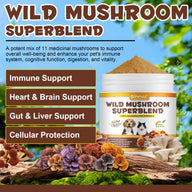 Oimmal Wild Mushroom Superblend 120g - 1Pack
