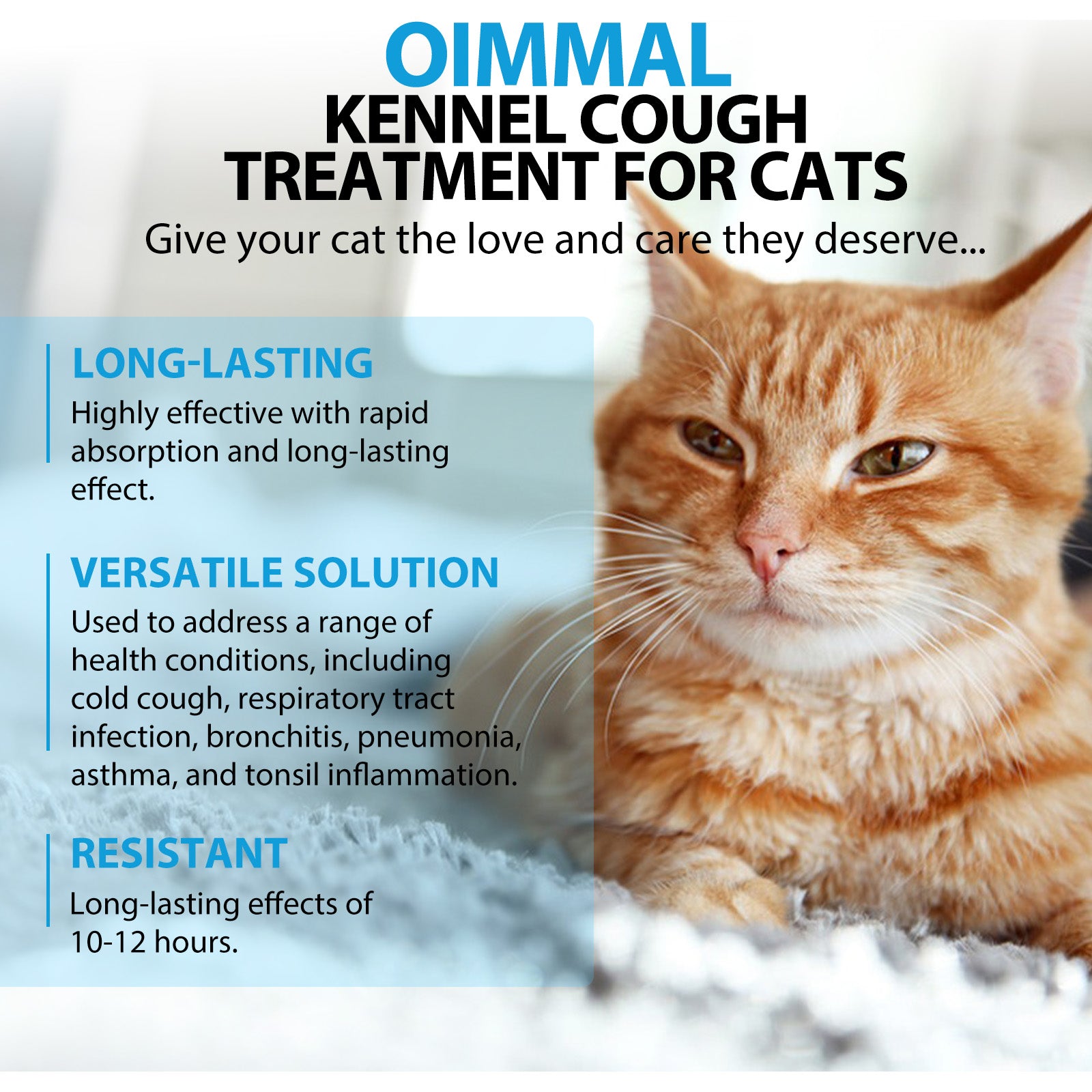 Oimmal Kennel Cough Treatment for Cats