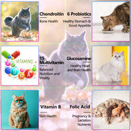 Oimmal 15 in1 Multivitamin Drops for Cat