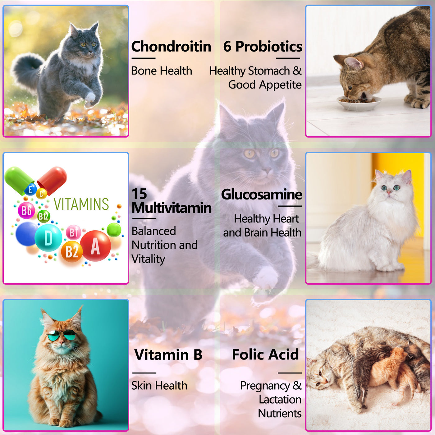 Oimmal 15 in1 Multivitamin Drops for Cat