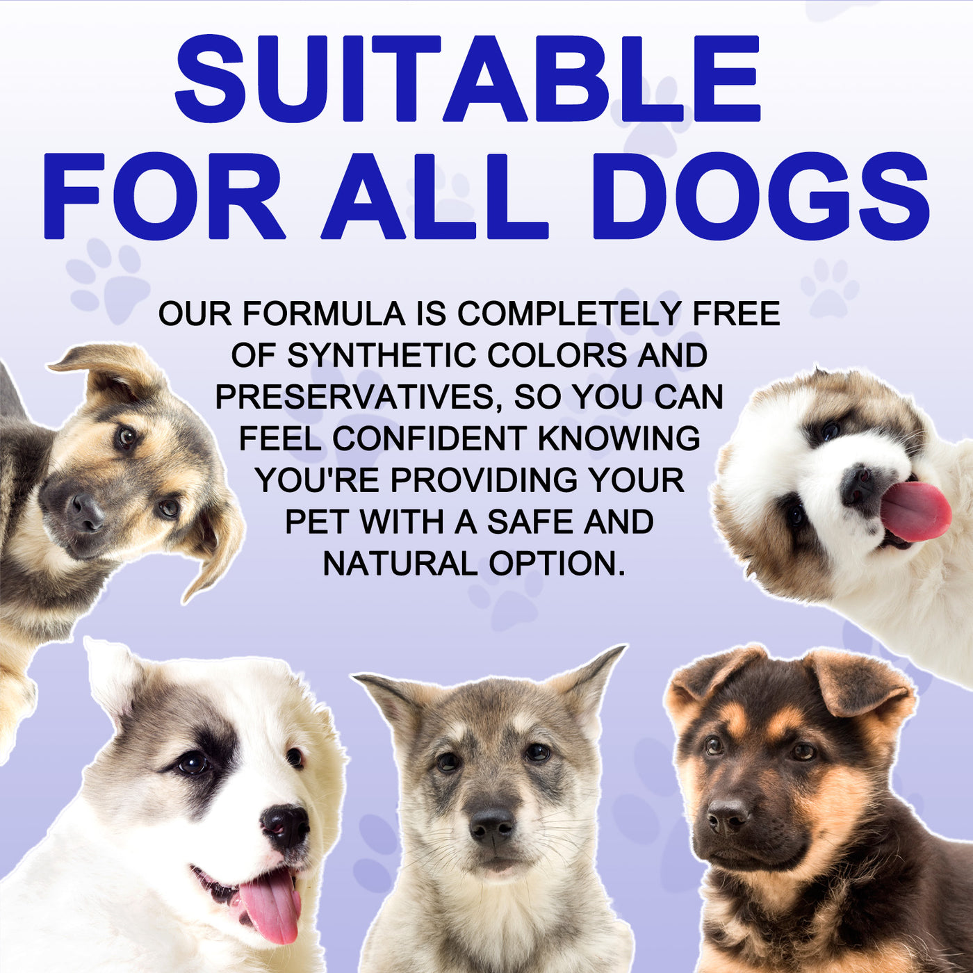 Oimmal  Eye Care Supplement for Dogs - 2 Packs