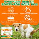Oimmal Pet Pumpkin Powder 200g - 1Pack