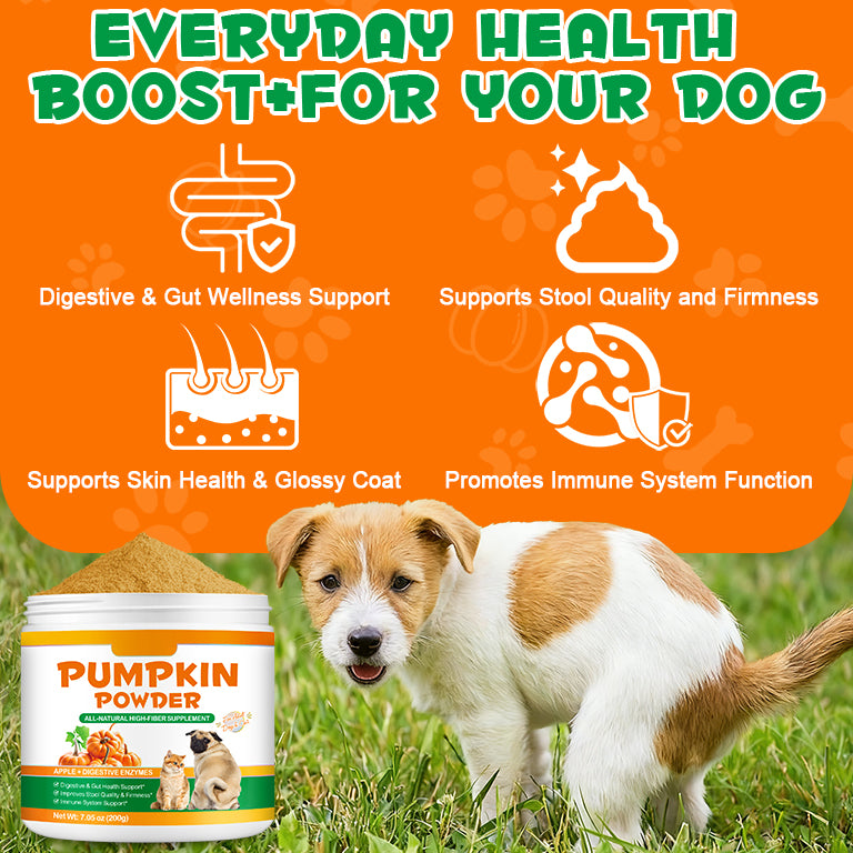 Oimmal Pet Pumpkin Powder 200g - 1Pack