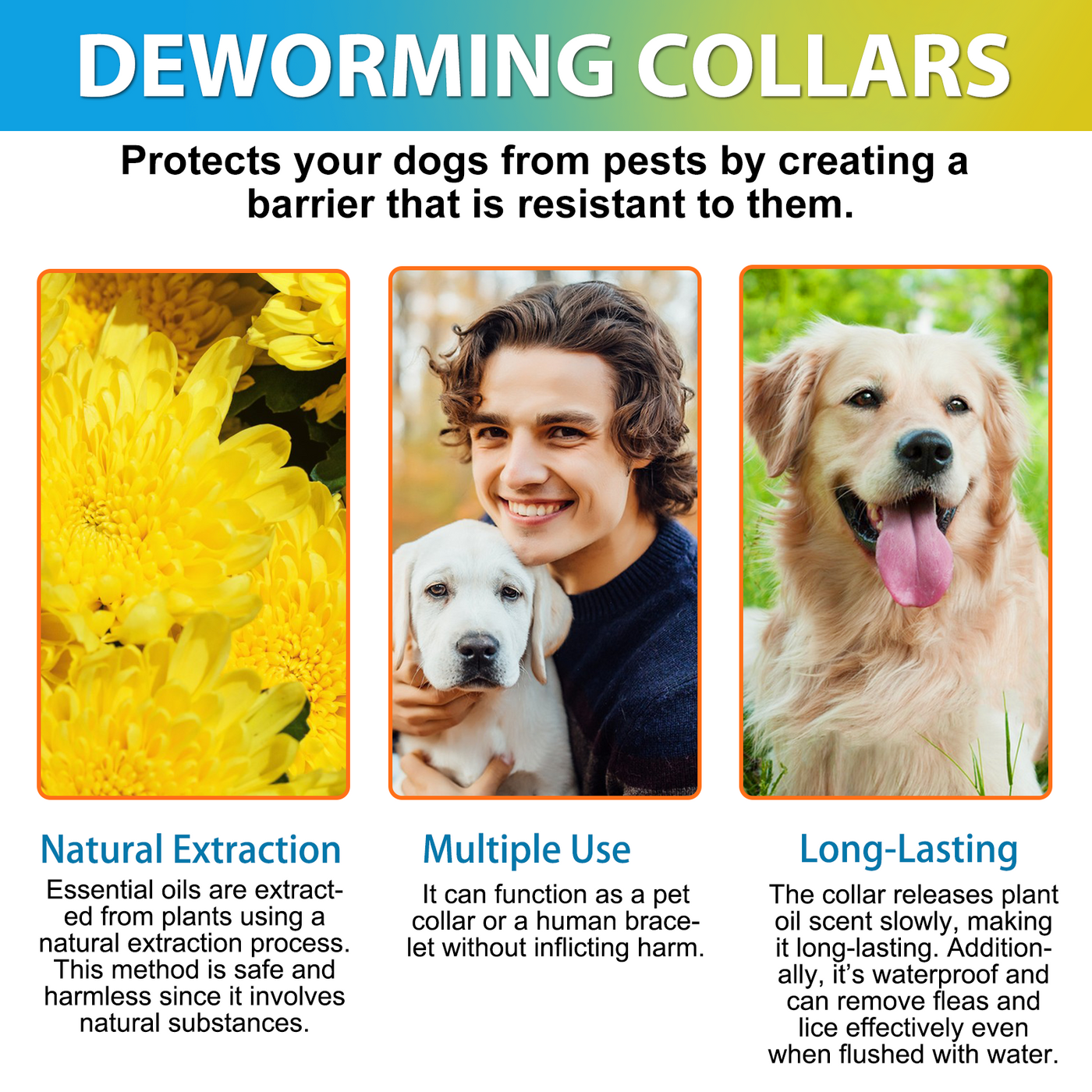 Oimmal Flea & Tick Collar for Dogs (4 Collars) - Blue&Orange