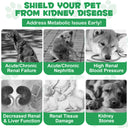 Oimmal Kidney Support for Dogs - 2Pack