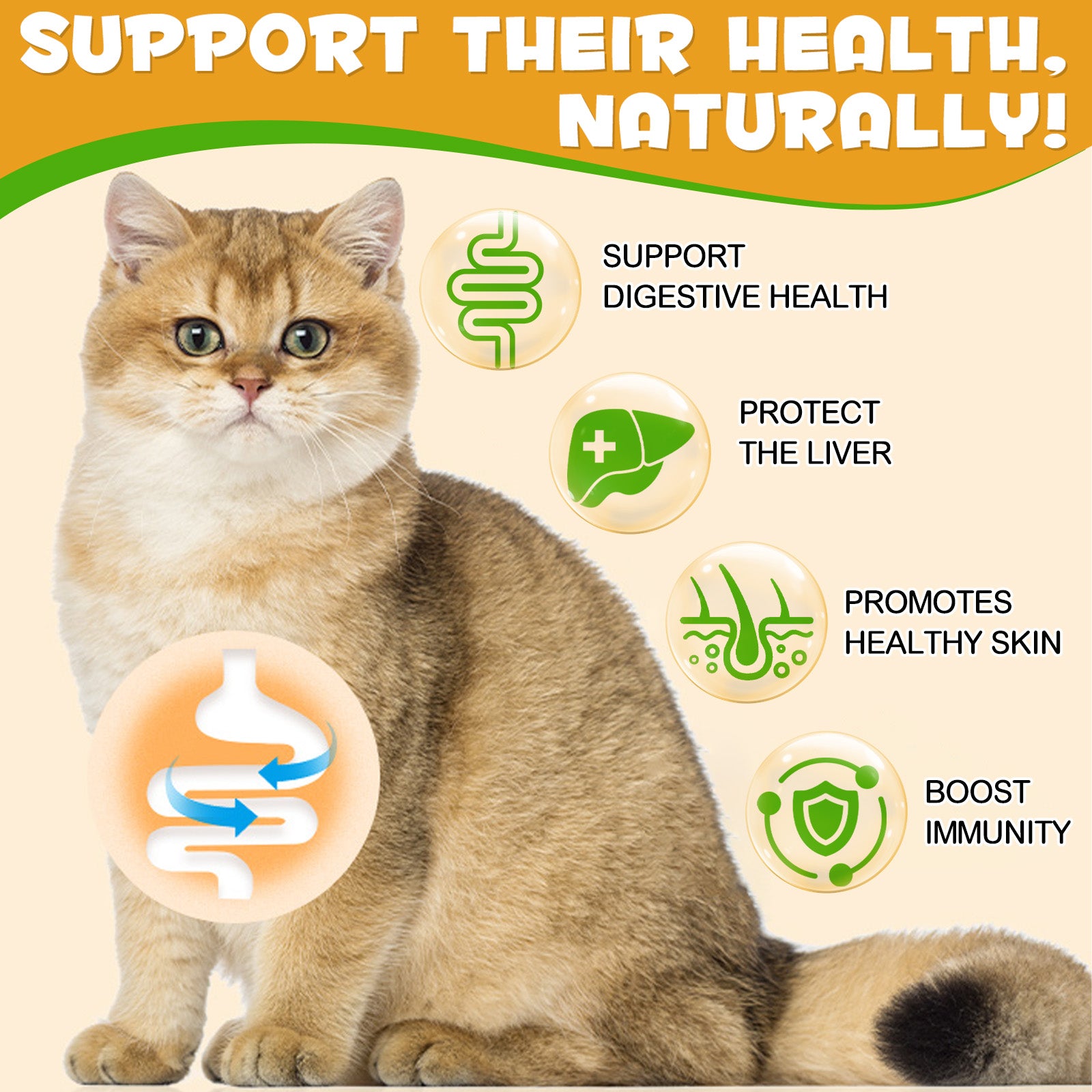 Oimmal Cats Allergy & Immune Supplement - 2Pack