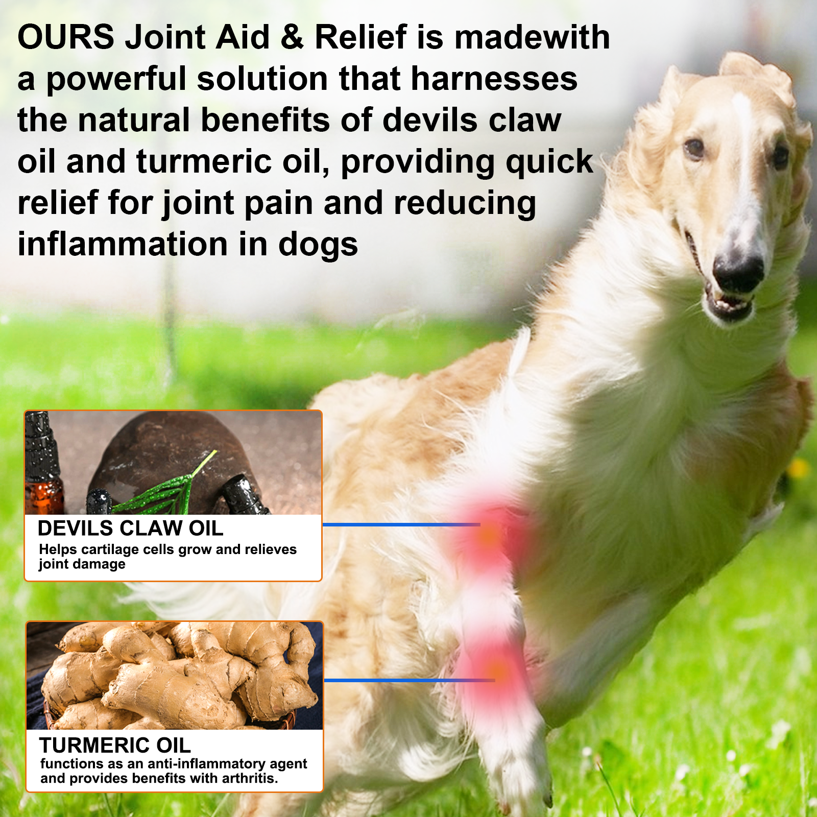 Oimmal Joint Aid & Relief Drops for Dogs