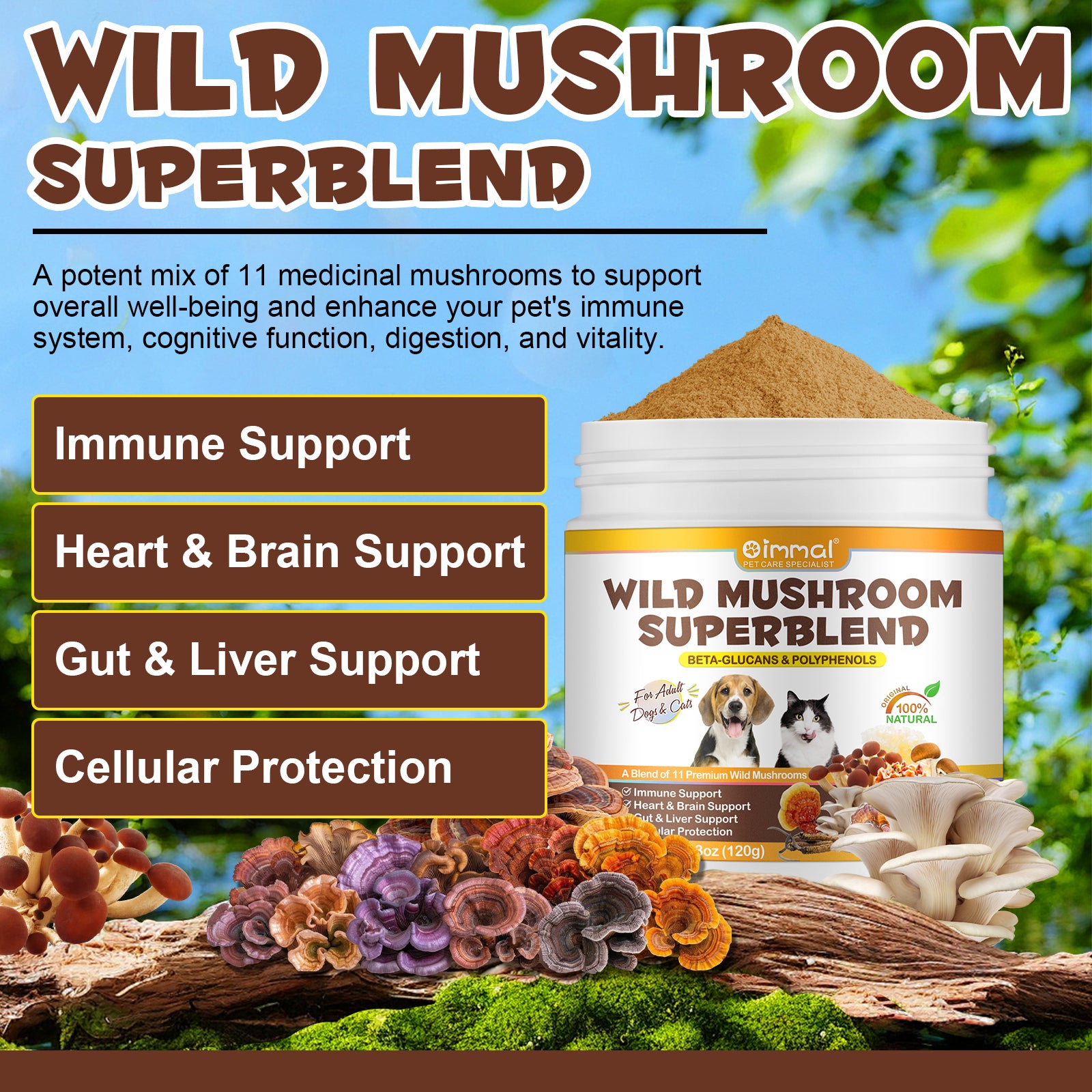 Oimmal Wild Mushroom Superblend 120g - 2Pack
