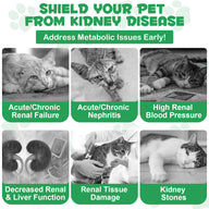 Oimmal Kidney Support for Cats - 2Pack