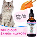 Oimmal Collagen Drops for Cats - 2Pack