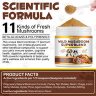 Oimmal Wild Mushroom Superblend 120g - 2Pack