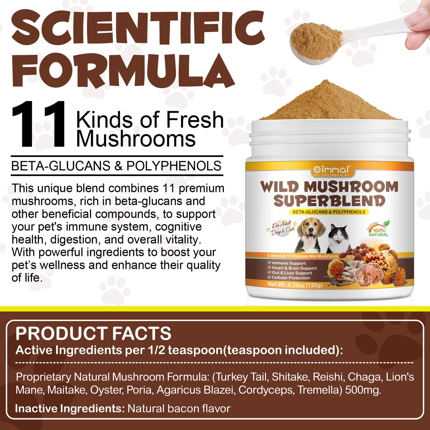 Oimmal Wild Mushroom Superblend 120g - 1Pack