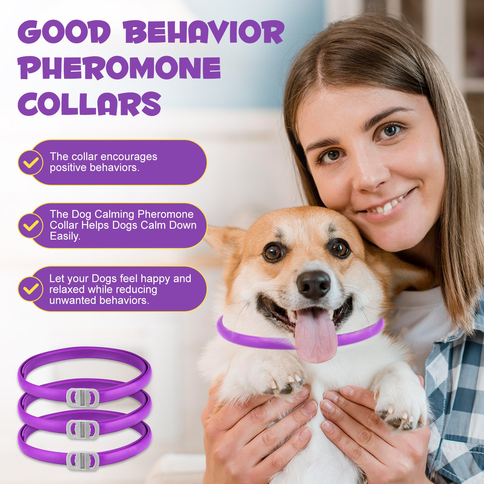 Best pheromone collar for dogs best sale