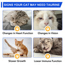 Oimmal Taurine Drops for Cat - 1Pack