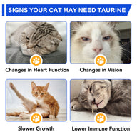 Oimmal Taurine Drops for Cat - 1Pack