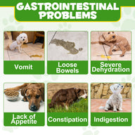 Oimmal Dog Probiotics Powder 120g - 1Pack