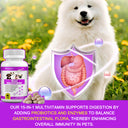 Oimmal 15-IN-1 Multivitamins Supplement for Dogs - 2 Packs