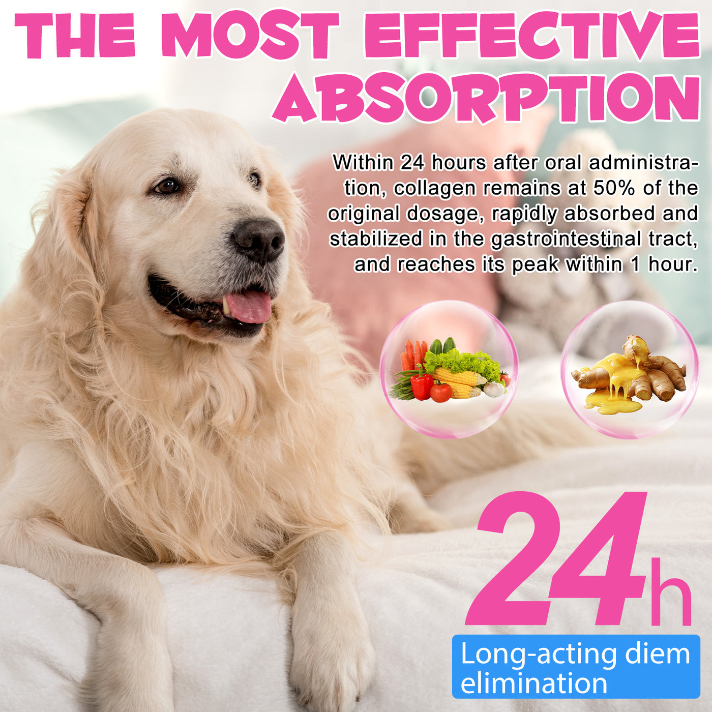 Oimmal Collagen Drops for Dogs