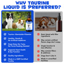 Oimmal Taurine Drops for Dog - 1Pack