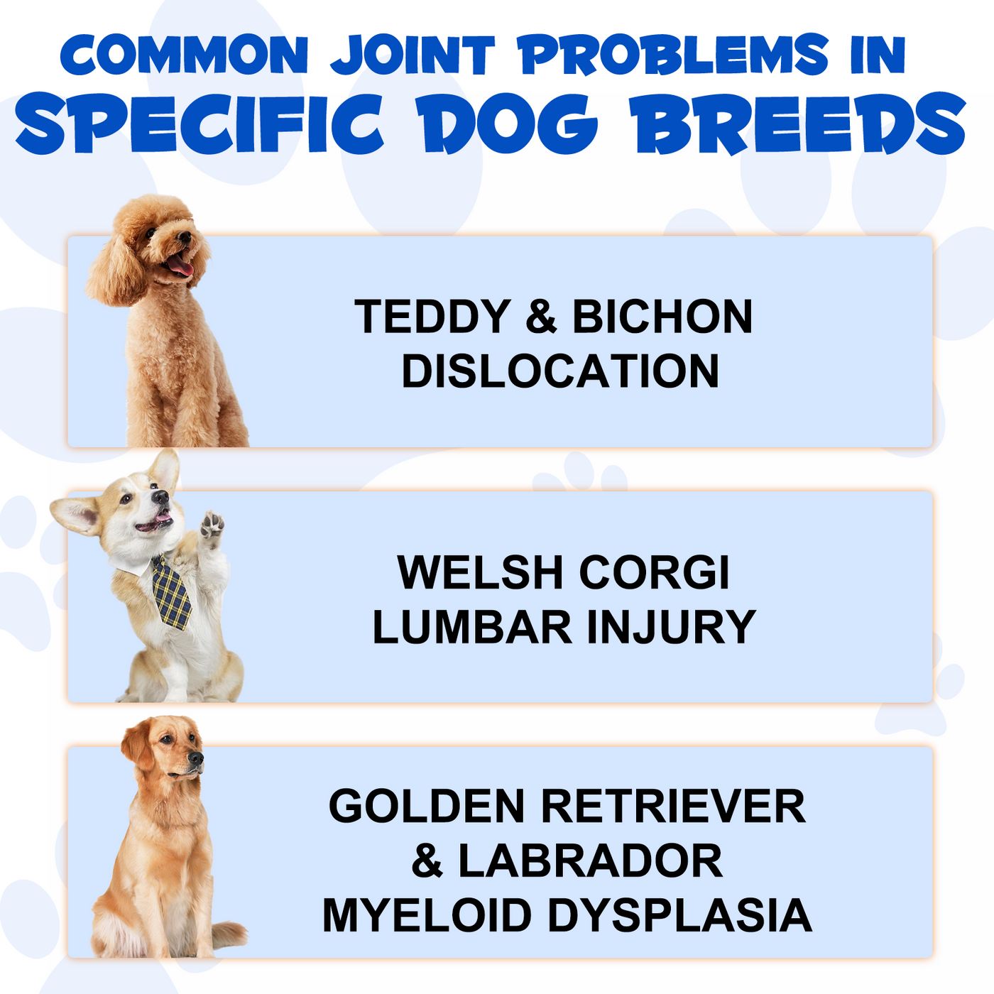 Oimmal Joint Aid & Relief Drops for Dogs