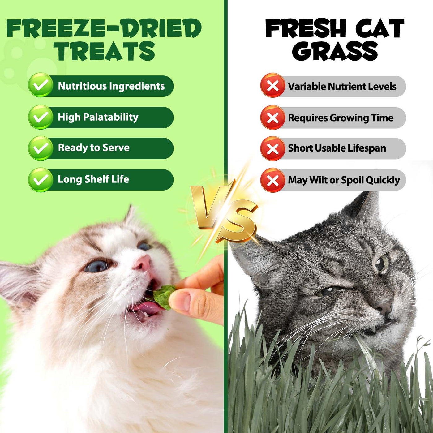 Oimmal Cat Grass Pellets 80g - 1Pack