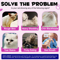 Oimmal Cat 15in1 Multivitamin Chews 100g - 2Pack