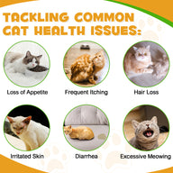 Oimmal Cats Allergy & Immune Supplement