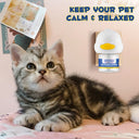 Oimmal Cat Calming Pheromone Diffuser Kit - 4 Bottles