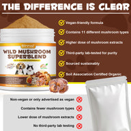 Oimmal Wild Mushroom Superblend 120g - 1Pack