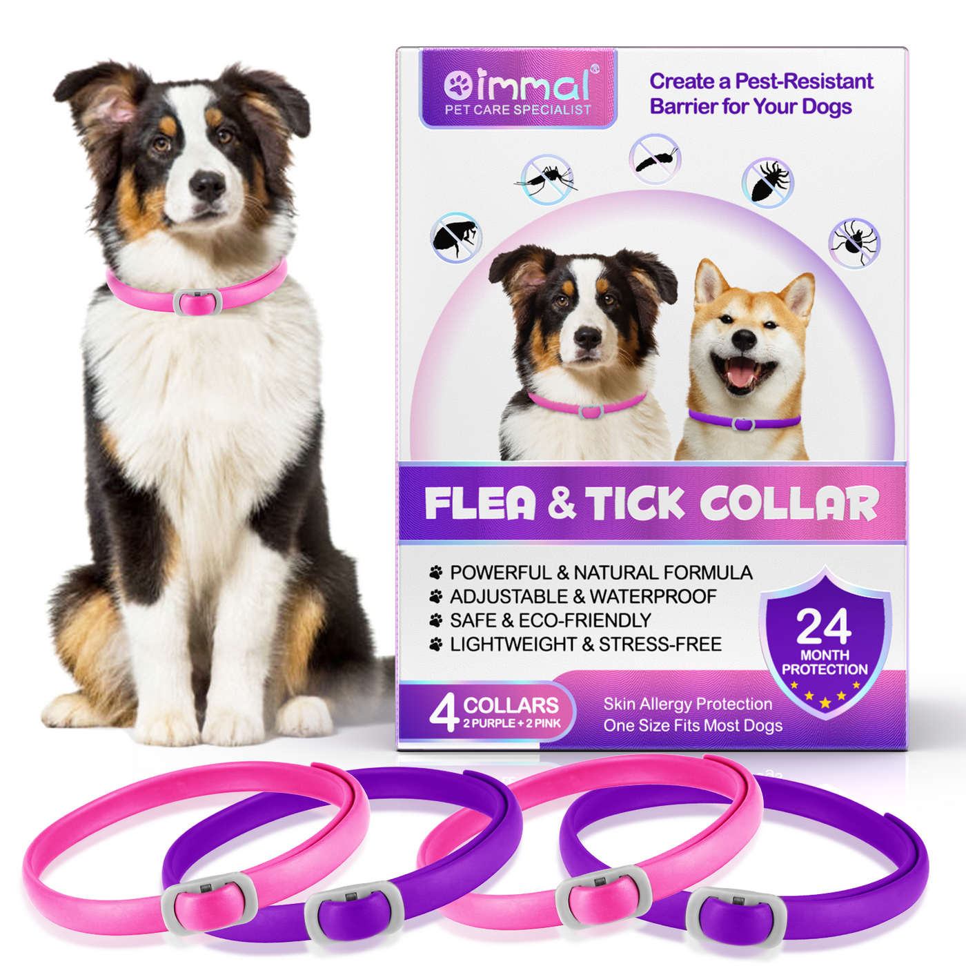 Oimmal Flea & Tick Collar for Dogs (4 Collars) - Pink&Purple