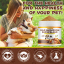 Oimmal Wild Mushroom Superblend 120g - 2Pack