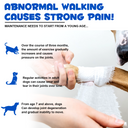 Oimmal Joint Aid & Relief Drops for Dogs