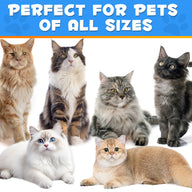 Oimmal Cats Anal Gland Support Powder 120g