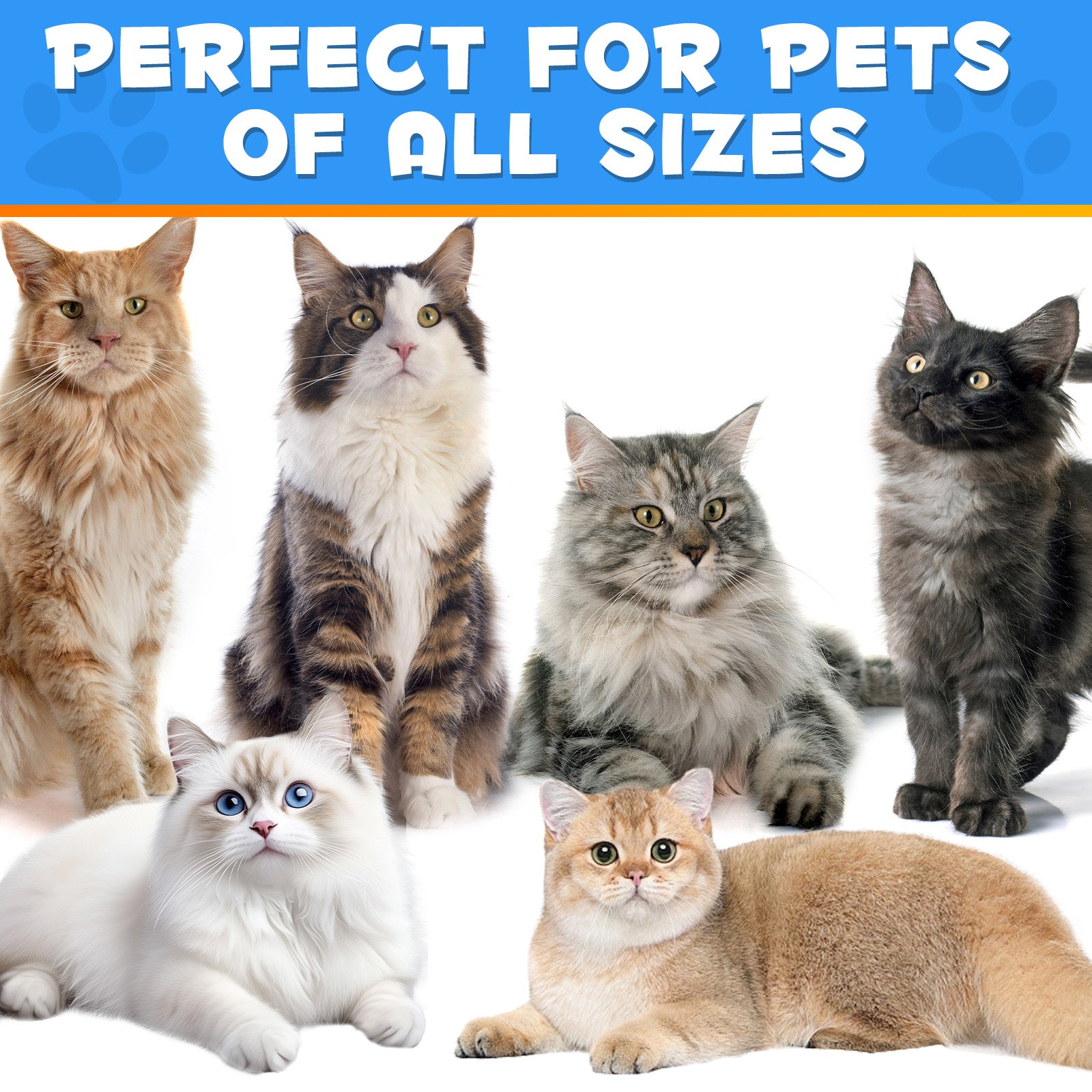 Oimmal Cats Anal Gland Support Powder 120g